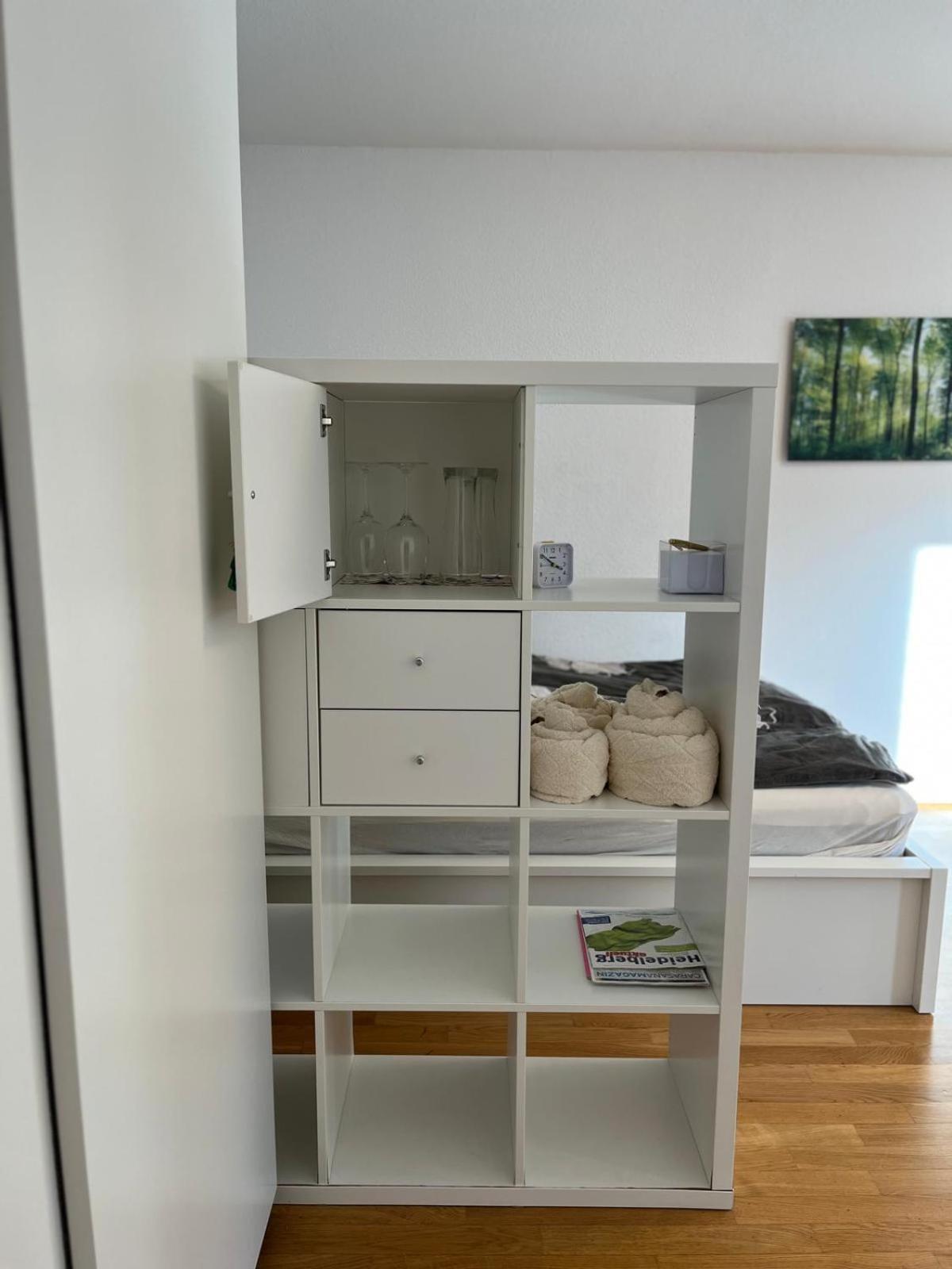 Wohnung Am Neckar Heidelberg Extérieur photo